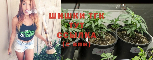 твердый Пестово