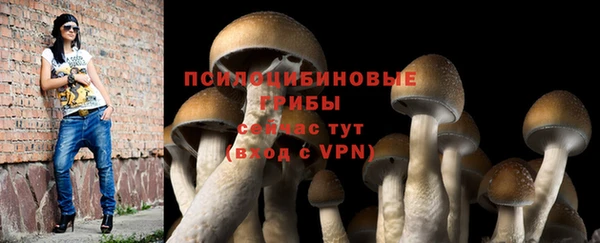 Альфа ПВП Переславль-Залесский