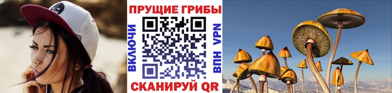 Галлюциногенные грибы мицелий Россошь