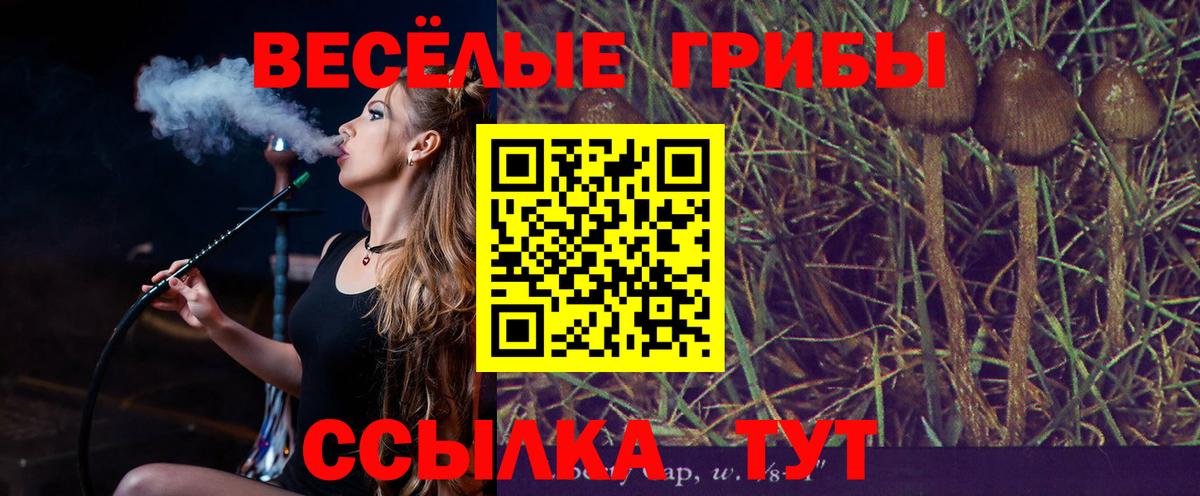 Псилоцибиновые грибы Psilocybe  Вход с VPN  Россошь  Псилоцибиновые грибы Psilocybine cubensis 